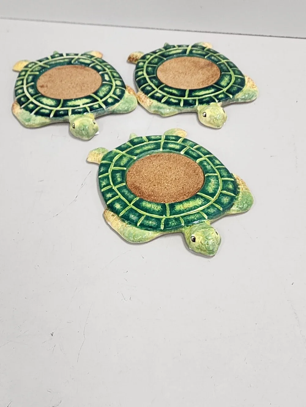 Turtle Coasters